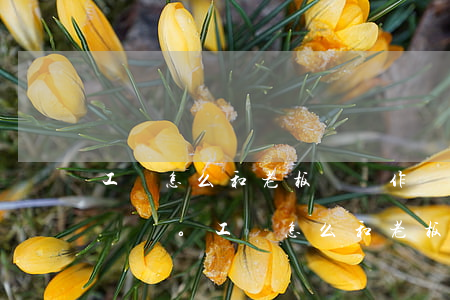 工傷怎么和老板談話作為證據(jù)。(工傷怎么和老板談話作為證據(jù).)